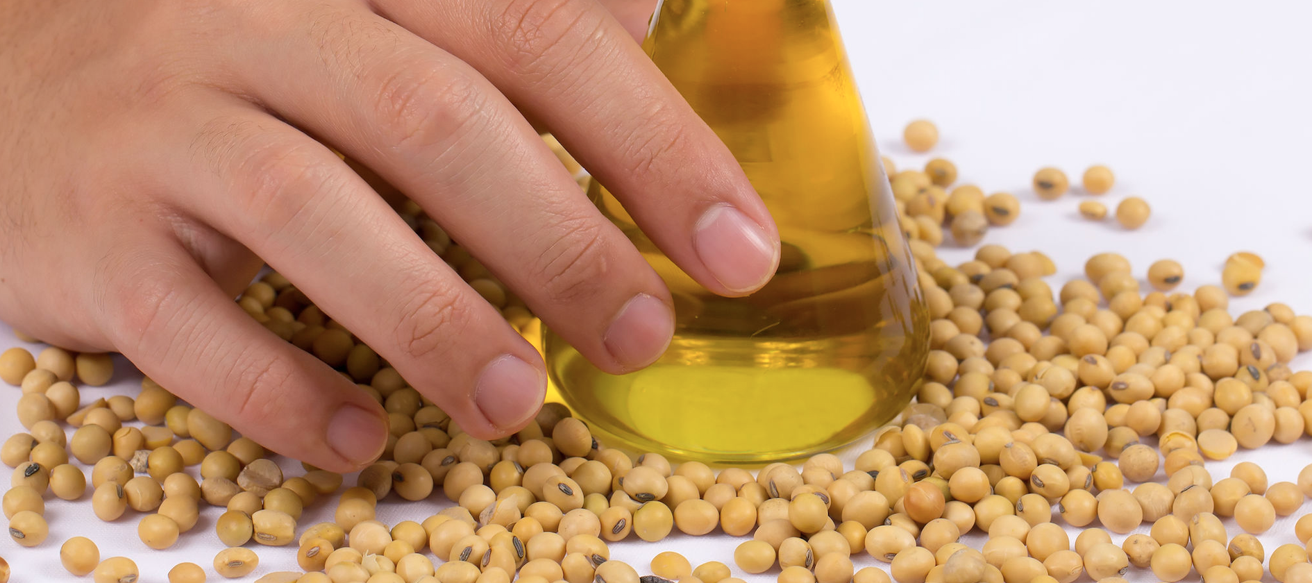 Soybean Oil Demand in Biodiesel Sector Could Slow With Rise in BOHO Spread