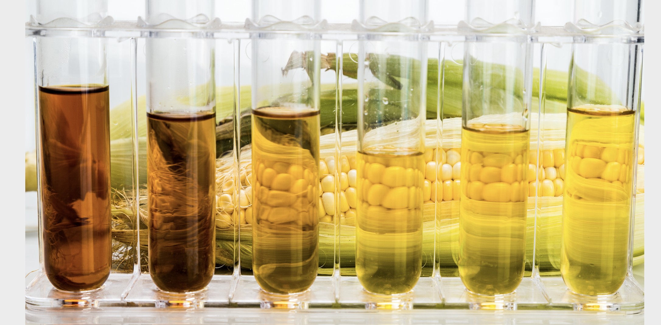 Distillers Corn Oil and the Low Carbon Fuel Standard