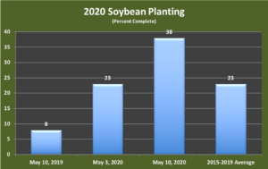 soybean planting