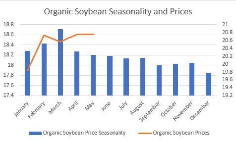 organic soybean