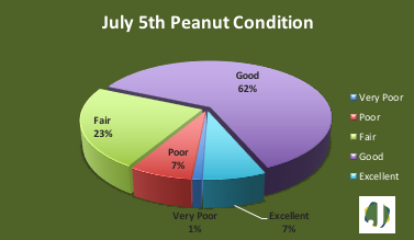 peanut condition