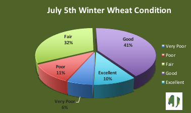 wintern wheat condition
