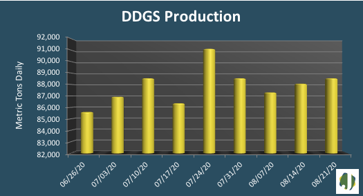ddgs production