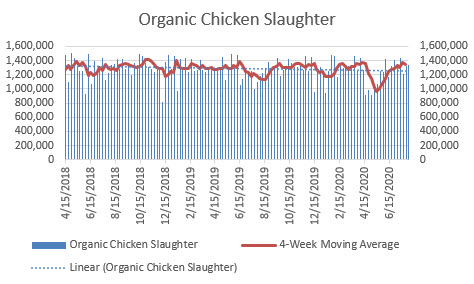 organic chicken slaughter