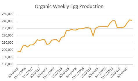 organic weekly egg production