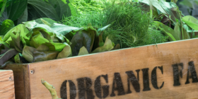 Organic Food Price Inflation is Expected to Rise in Tandem with Conventional