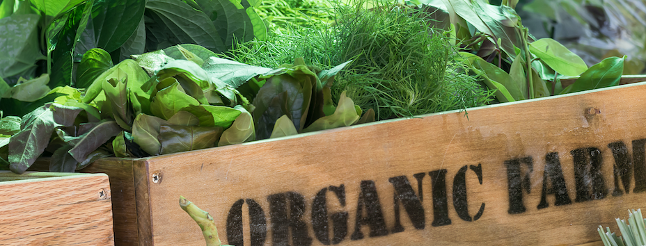 Organic Prices Have Remained Steady as Demand Has Continued to Hold Up Well