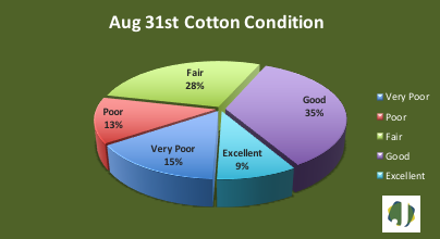 cotton condition