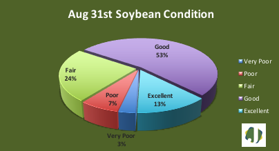 soybean condition
