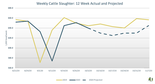 weekly cattle slaughter data