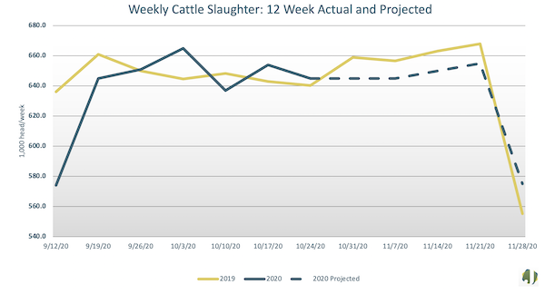 weekly cattle slaughter data