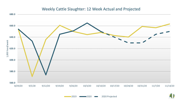 weekly cattle slaughter