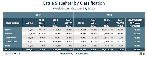 cattle slaughter by classification