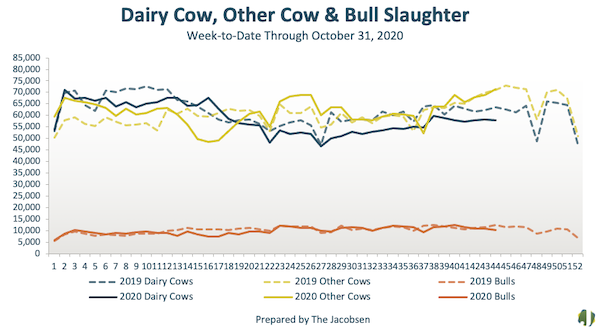 cow and bull slaughter data