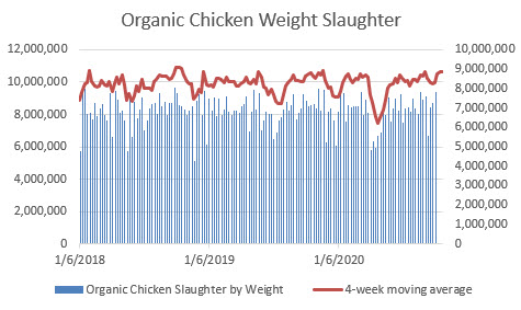 organic chicken weight slaughter
