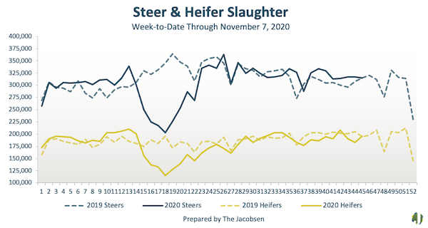 steer and heifer slaughter data