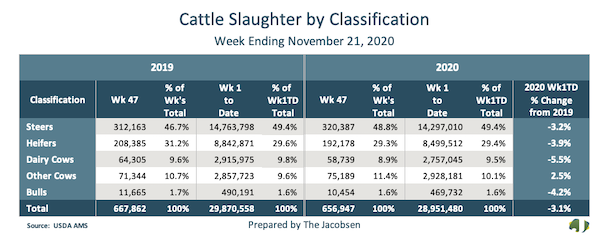 cattle slaughter by classification data