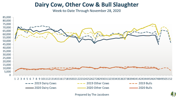 dairy cow and other bull slaughter data
