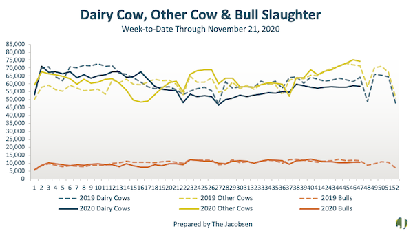 dairy cow, other cow, and bull slaughter graph