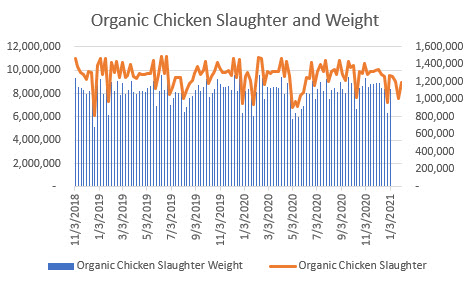 organic chicken slaughter and weight data