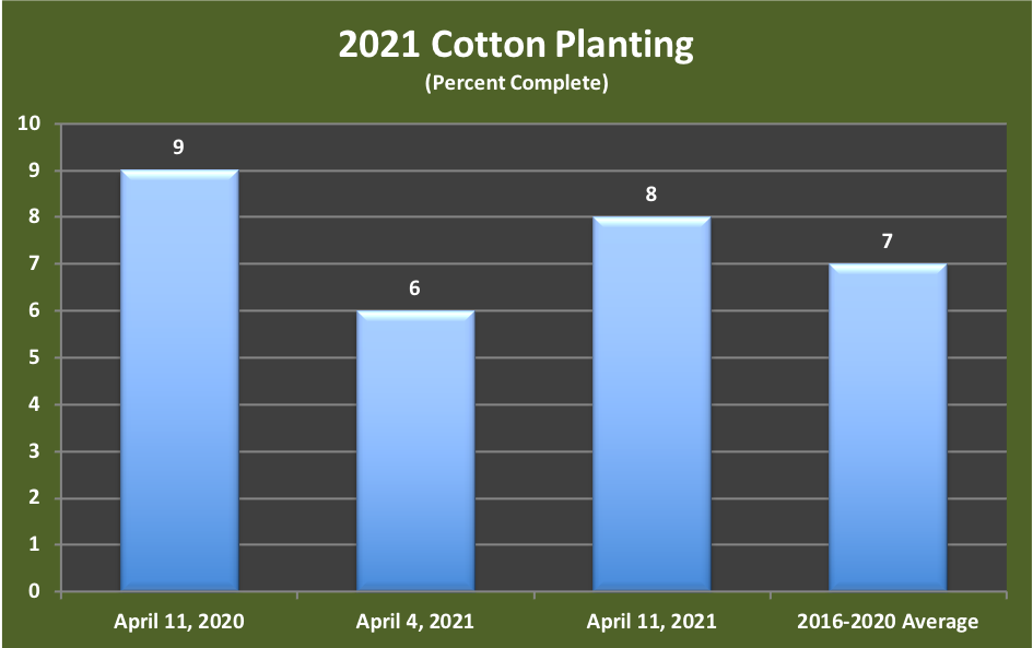 2021 cotton planting