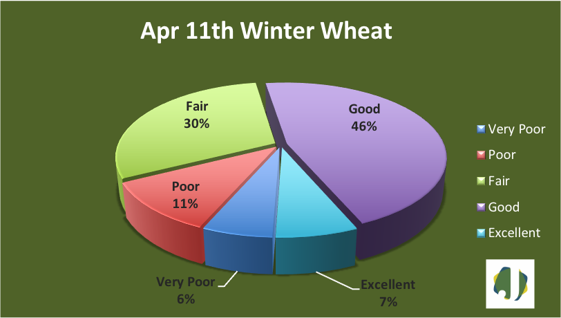 April 11 winter wheat