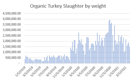 organic turkey slaughter by weight
